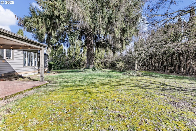 view of yard with a patio area