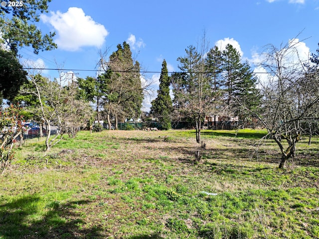 view of yard