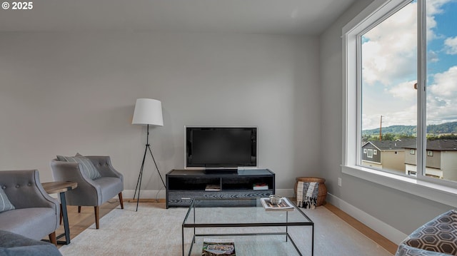 living room with light hardwood / wood-style floors