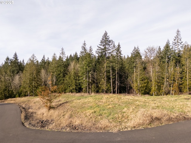 Listing photo 3 for 426 Rose Garden Ln, Kelso WA 98626