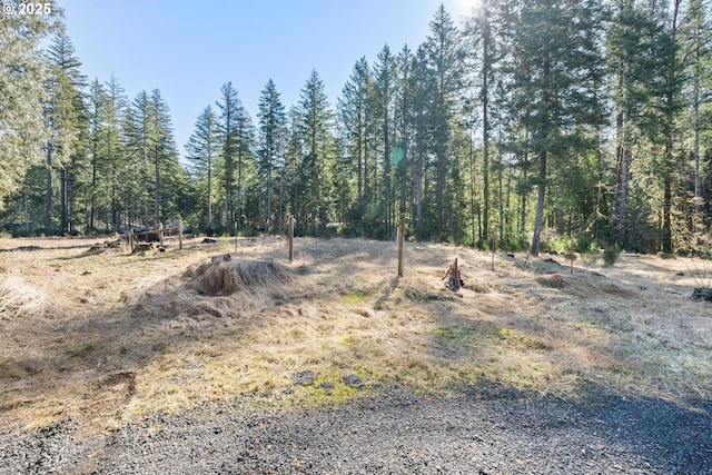 Alma Dr, Mckenzie Bridge OR, 97413 land for sale