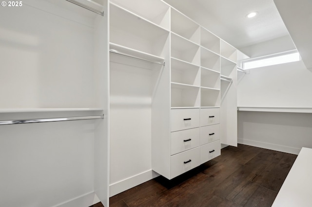 1730 N 12th St, Washougal, WA 98671 - spacious closet with dark wood finished floors