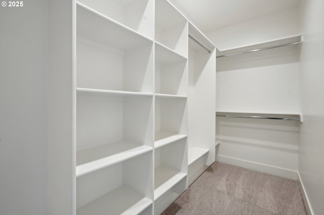 1730 N 12th St, Washougal, WA 98671 - walk in closet featuring carpet flooring