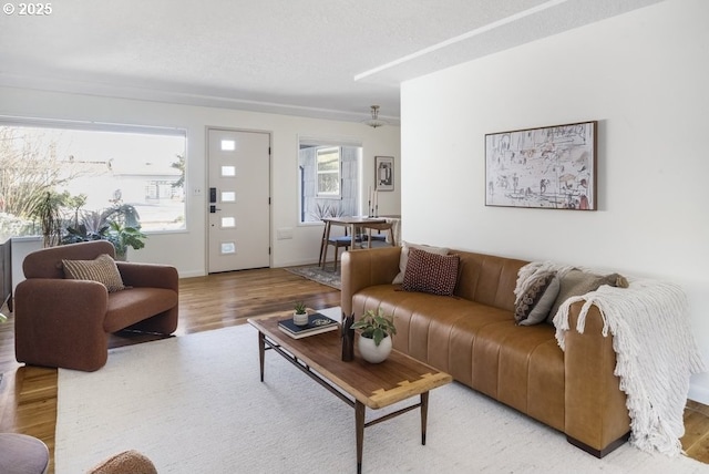 living area with wood finished floors