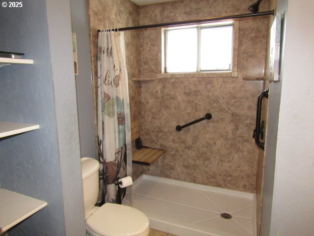 bathroom with vanity, toilet, and a shower with curtain