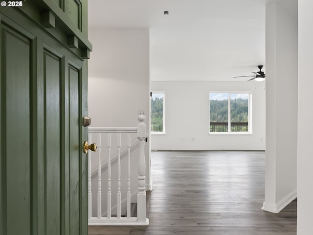 foyer with hardwood / wood-style floors and ceiling fan