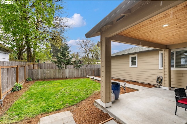 view of yard with a patio and a fenced backyard