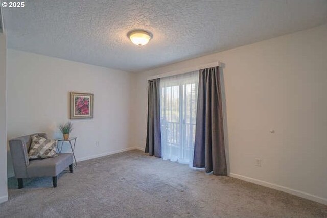 sitting room featuring baseboards, carpet, and a textured ceiling