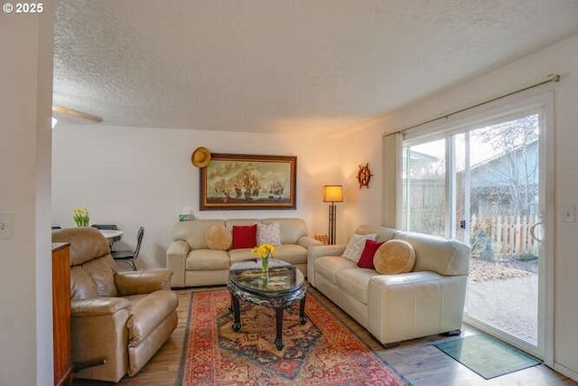 living room featuring wood finished floors and a textured ceiling