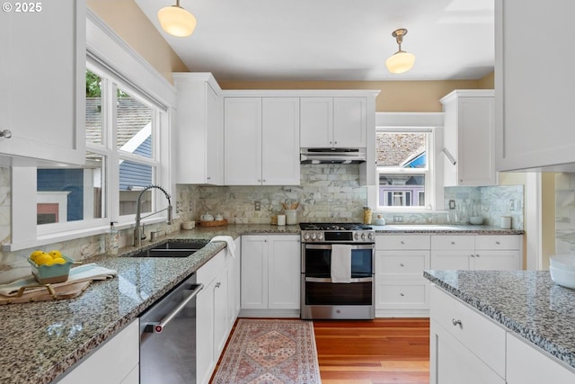 kitchen featuring appliances with stainless steel finishes, a sink, under cabinet range hood, and healthy amount of natural light