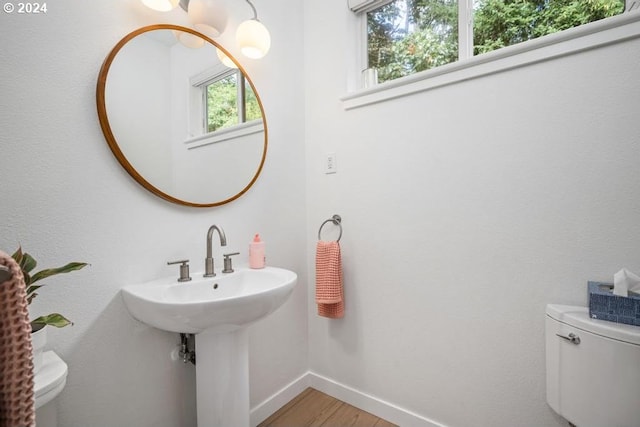 8427 NW Timber Ridge Ct, Portland, OR 97229 - bathroom featuring toilet, baseboards, wood finished floors, and a sink