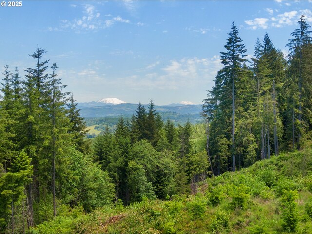 66020 Meissner Rd, Deer Island, OR 97054
