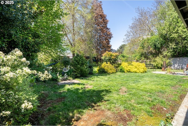 view of yard featuring fence