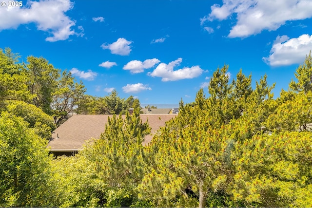 8985 Chinook Ln, Manzanita, OR 97130 - view of subject property