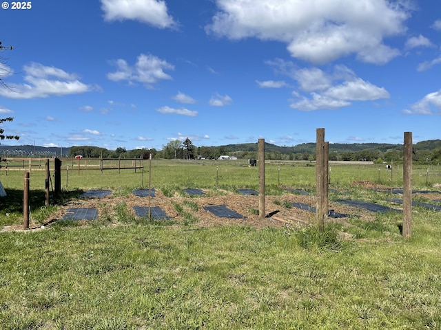 24291 SW Rogers Rd, Sheridan, OR 97378 - view of yard with a view of rural / pastoral area