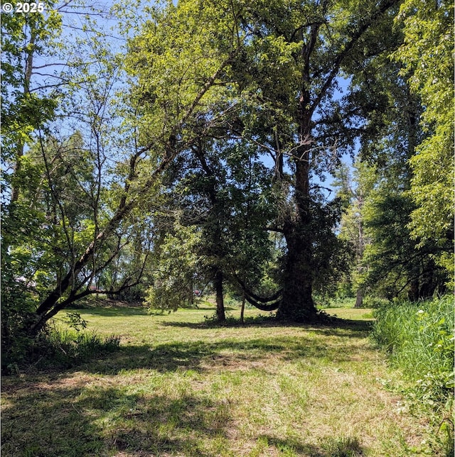 24291 SW Rogers Rd, Sheridan, OR 97378 - view of local wilderness
