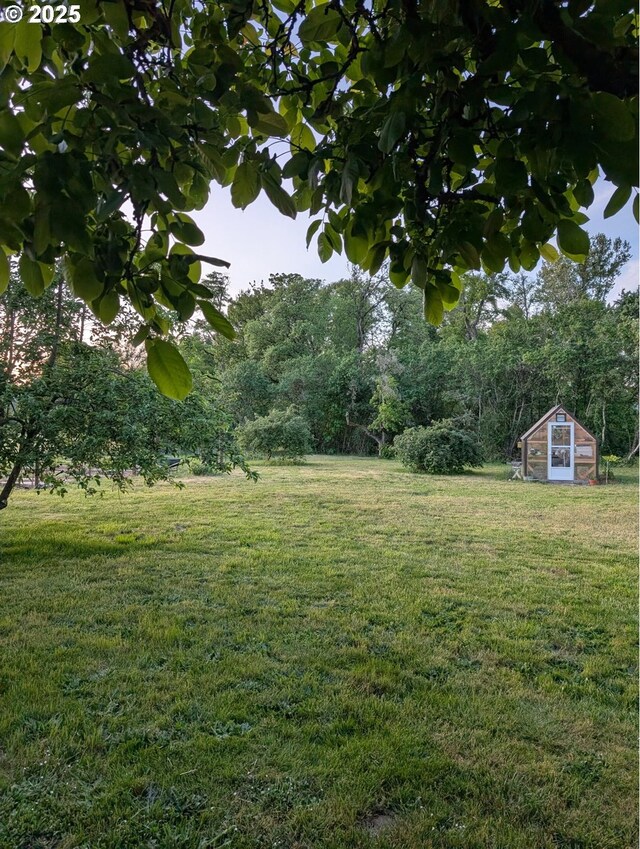 24291 SW Rogers Rd, Sheridan, OR 97378 - view of yard