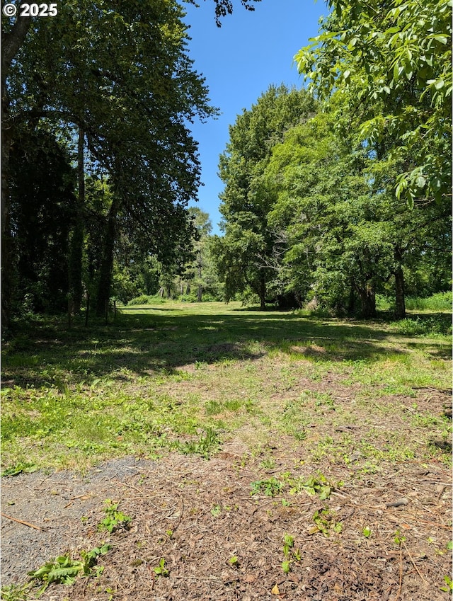 24291 SW Rogers Rd, Sheridan, OR 97378 - view of nature
