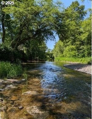 24291 SW Rogers Rd, Sheridan, OR 97378 - water view