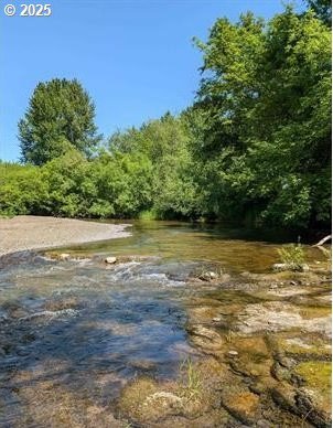 24291 SW Rogers Rd, Sheridan, OR 97378 - water view with a forest