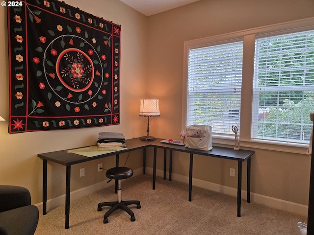 899 NW Angel Heights Rd, Stevenson, WA 98648 - office featuring carpet and baseboards