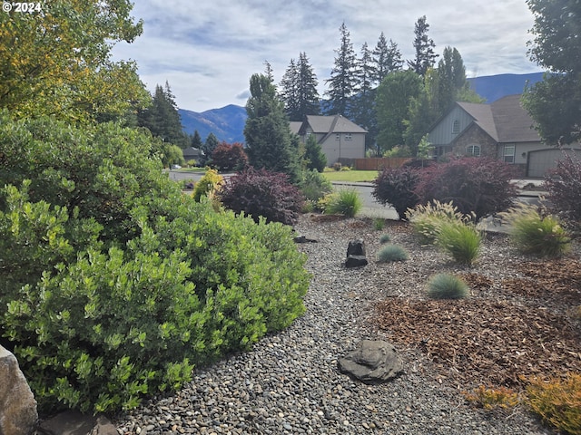 899 NW Angel Heights Rd, Stevenson, WA 98648 - view of yard with a mountain view
