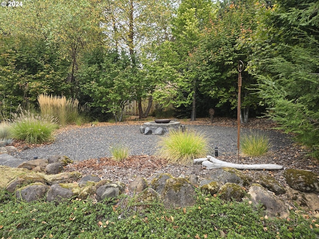 899 NW Angel Heights Rd, Stevenson, WA 98648 - view of yard