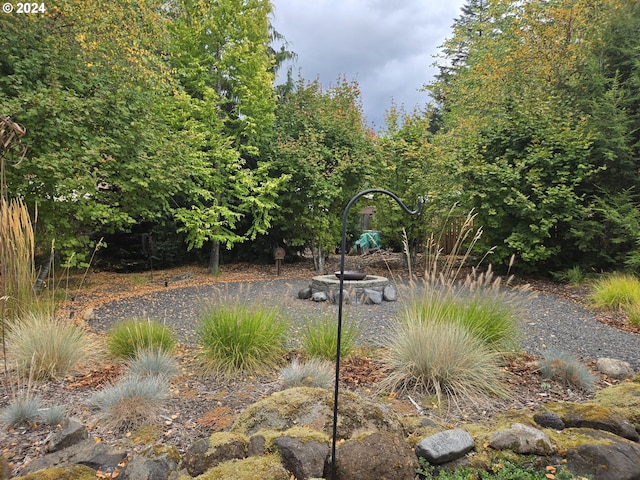 899 NW Angel Heights Rd, Stevenson, WA 98648 - view of yard