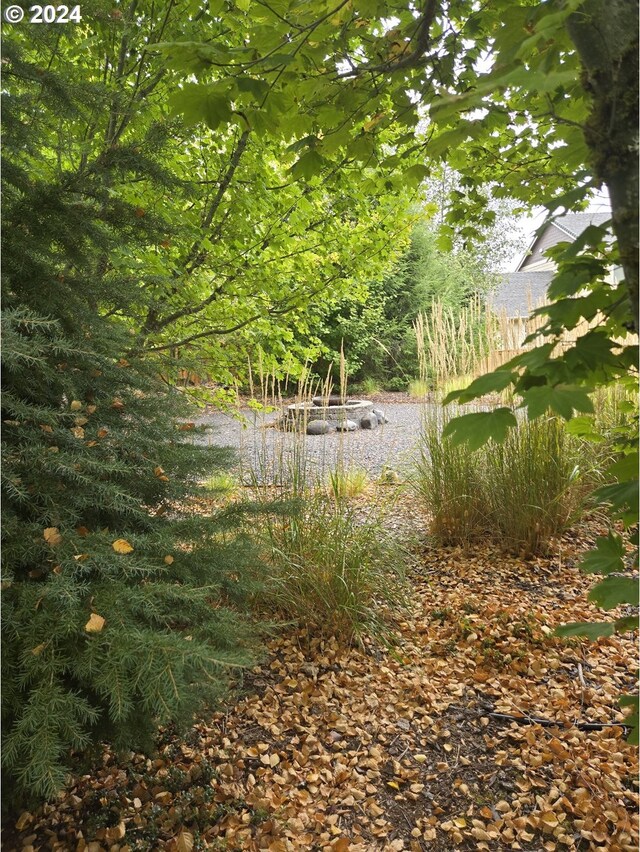 899 NW Angel Heights Rd, Stevenson, WA 98648 - view of nature
