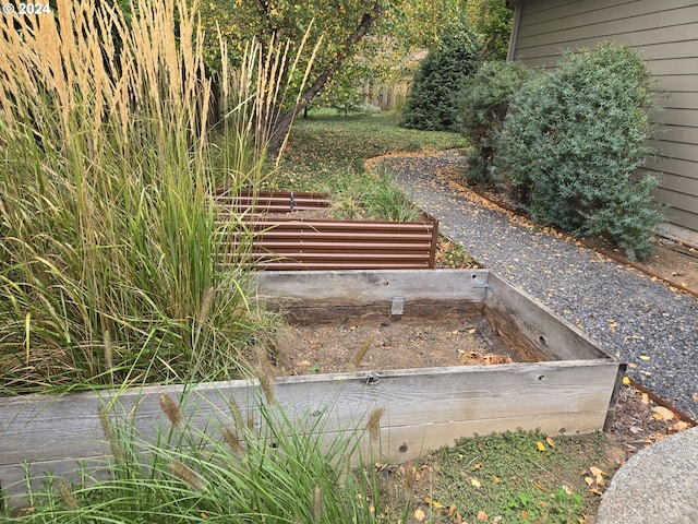 899 NW Angel Heights Rd, Stevenson, WA 98648 - view of yard