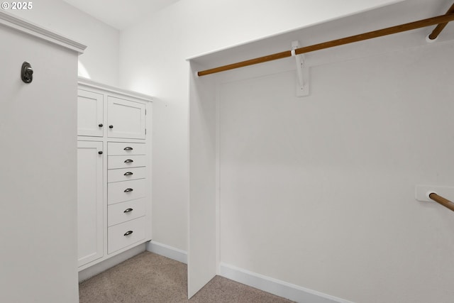 90955 Southview Ln, Florence, OR 97439 - spacious closet with light colored carpet