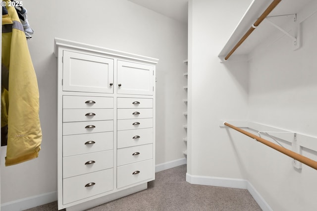 90955 Southview Ln, Florence, OR 97439 - spacious closet featuring light colored carpet