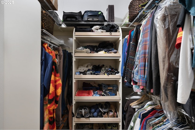 view of spacious closet