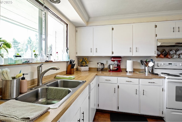 4635 Daisy St, Springfield, OR 97478 - kitchen featuring white appliances, under cabinet range hood, crown molding, white cabinetry, and light countertops