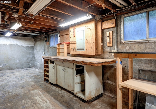 basement featuring a workshop area and electric panel