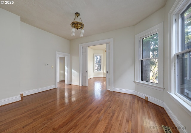 interior space featuring an inviting chandelier, plenty of natural light, and wood-type flooring