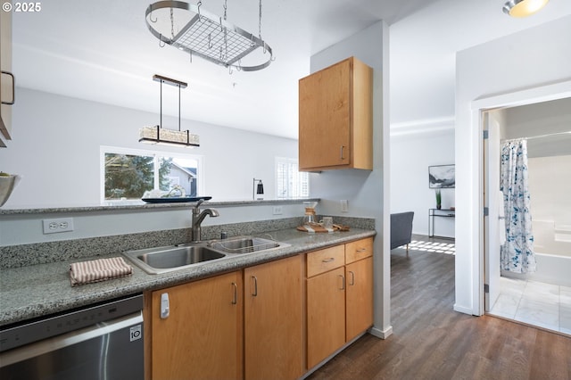 kitchen featuring sink, stainless steel dishwasher, dark hardwood / wood-style flooring, and decorative light fixtures