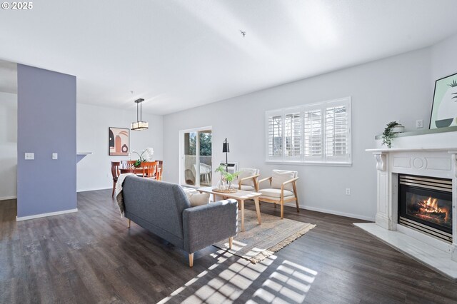 living room with a high end fireplace and dark hardwood / wood-style flooring