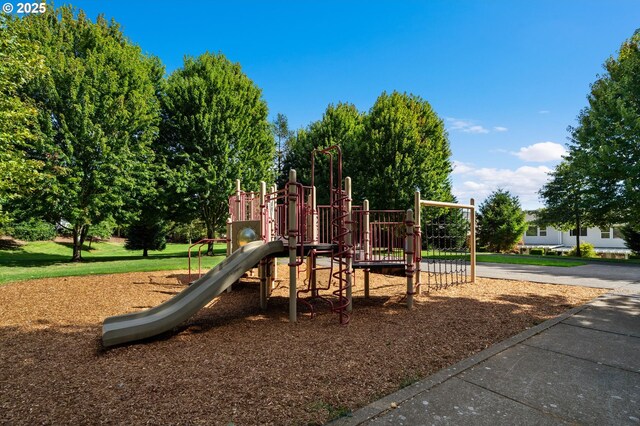 view of jungle gym