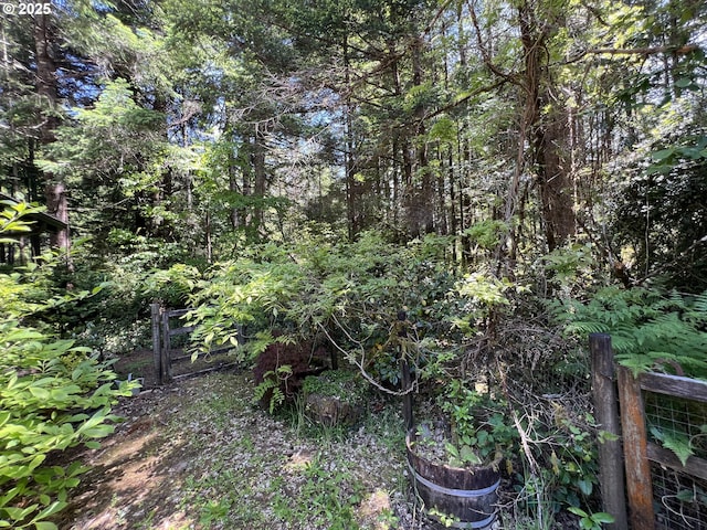 42250 Cedar Hollow Rd, Port Orford, OR 97465 - view of local wilderness