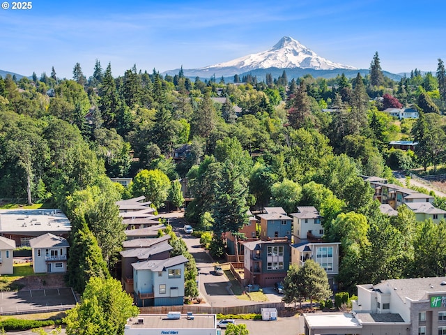 201 Selkirk Ln, Hood River, OR 97031 - aerial view of residential area with a mountain backdrop