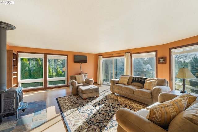 living room with hardwood / wood-style floors, a wood stove, and a wealth of natural light