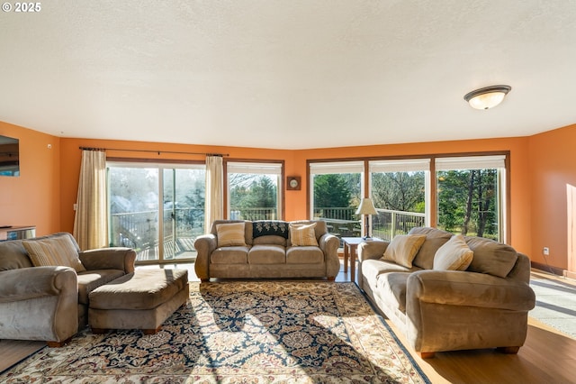 living room featuring wood-type flooring and a textured ceiling