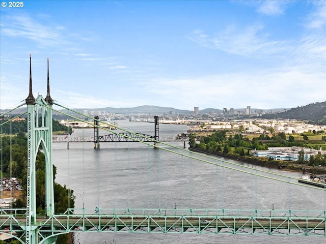 8527 N Princeton St, Portland, OR 97203 - surrounding community with a mountain view