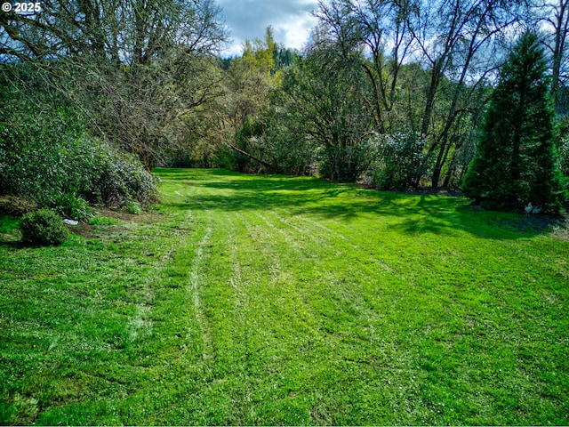 939 Buckhorn Rd, Roseburg, OR 97470 - view of yard with a wooded view