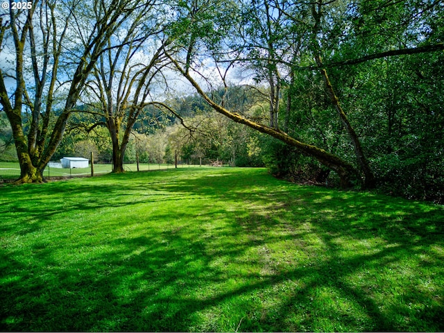 939 Buckhorn Rd, Roseburg, OR 97470 - view of yard