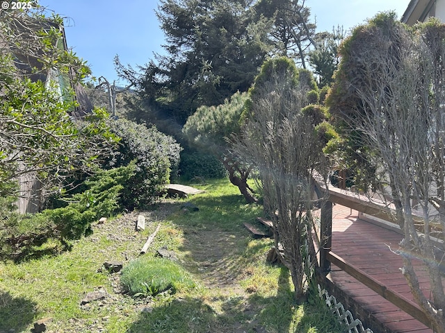 view of yard