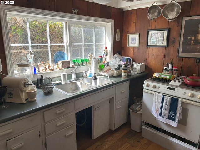 kitchen featuring a sink, wood walls, a wealth of natural light, and gas range gas stove