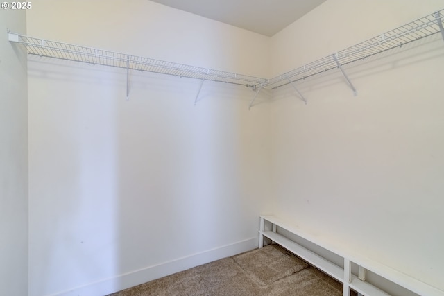 705 NW 25th Ave, Battle Ground, WA 98604 - spacious closet with carpet floors