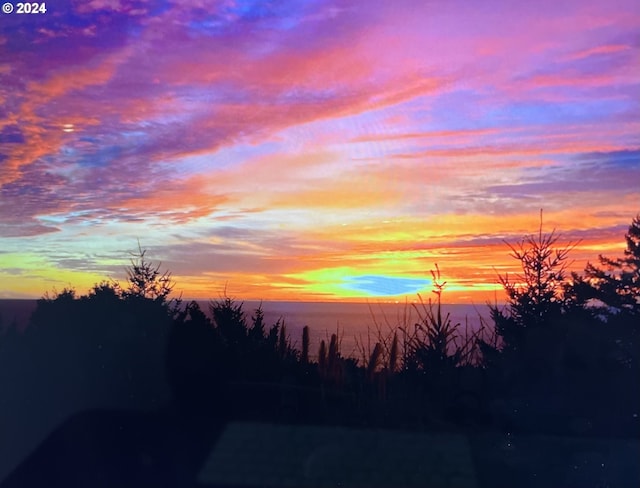 17130 Eastwood Ln, Brookings, OR 97415 - view of nature at dusk